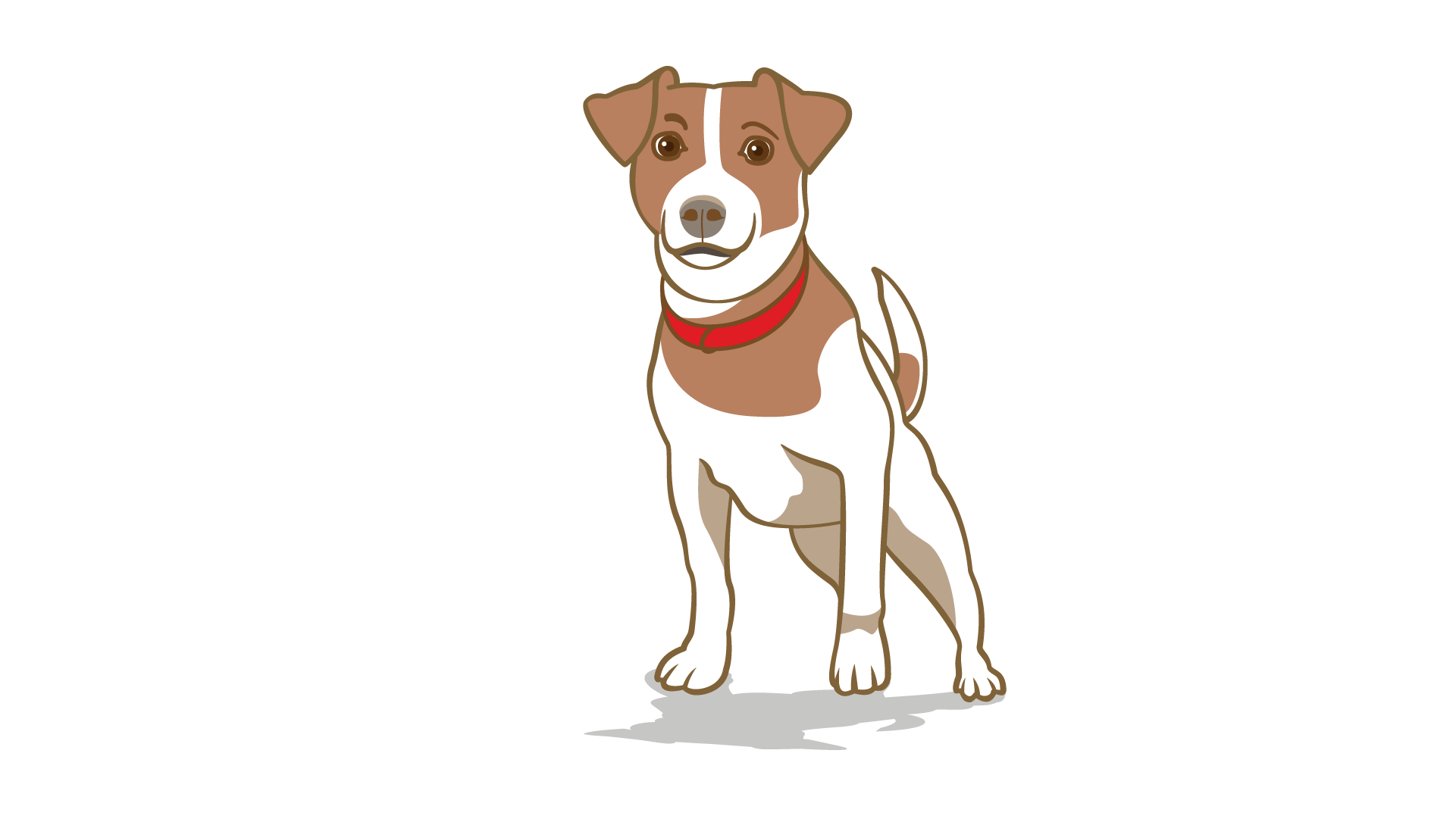focused dog body language