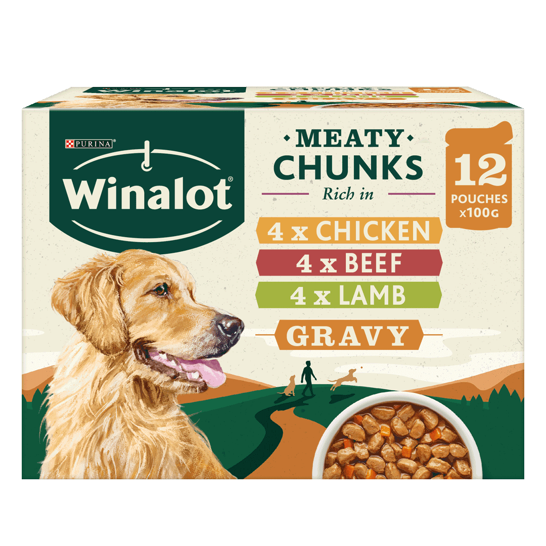 Lamb in Gravy Wet Dog Food 