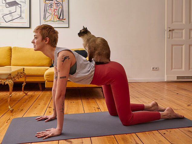Woman doing yoga with cat on her back