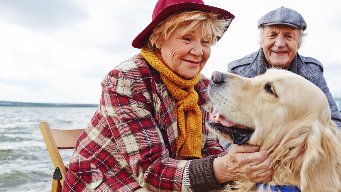 older couple enjoying the beach with their golden retriever