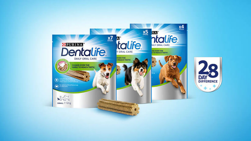 dentalife 28 day challenge