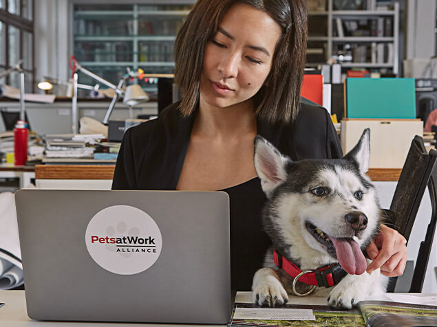 Woman working on laptop with Husky