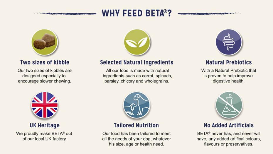 Why feed beta?
