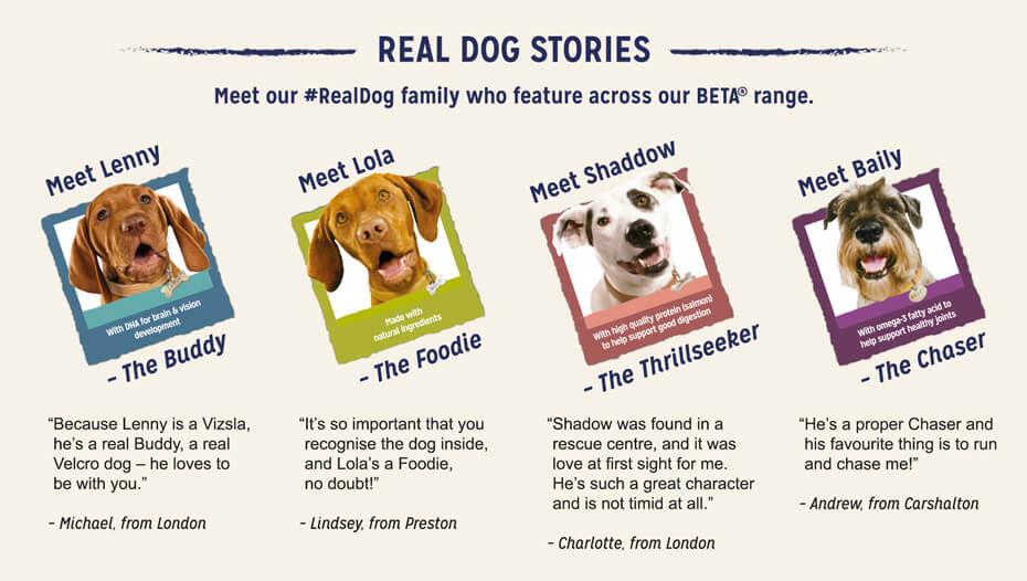 Meet the Beta dogs