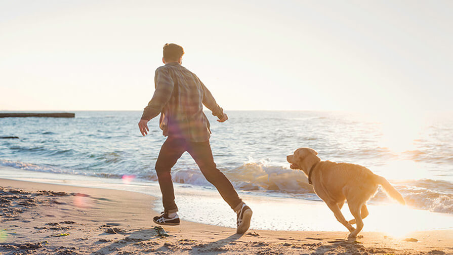 man running on beach with dog