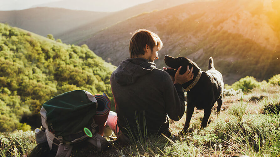 man sitting in mountains with dog