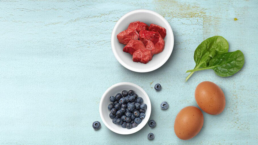 every ingredient has a purpose