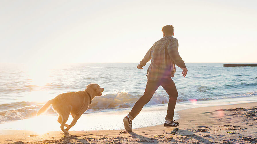 man and dog running down the beach