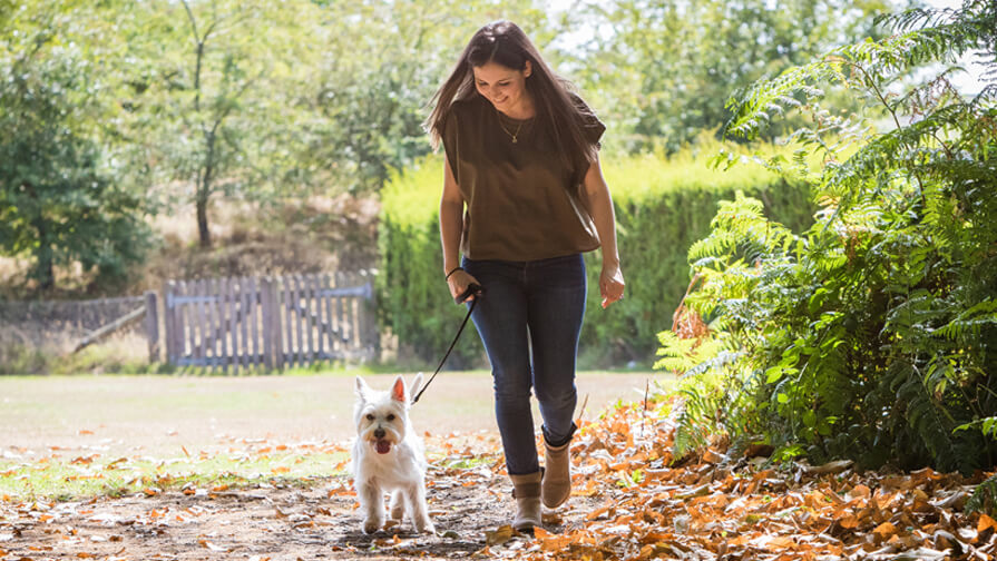 Purina employee walking in the woods with her dog