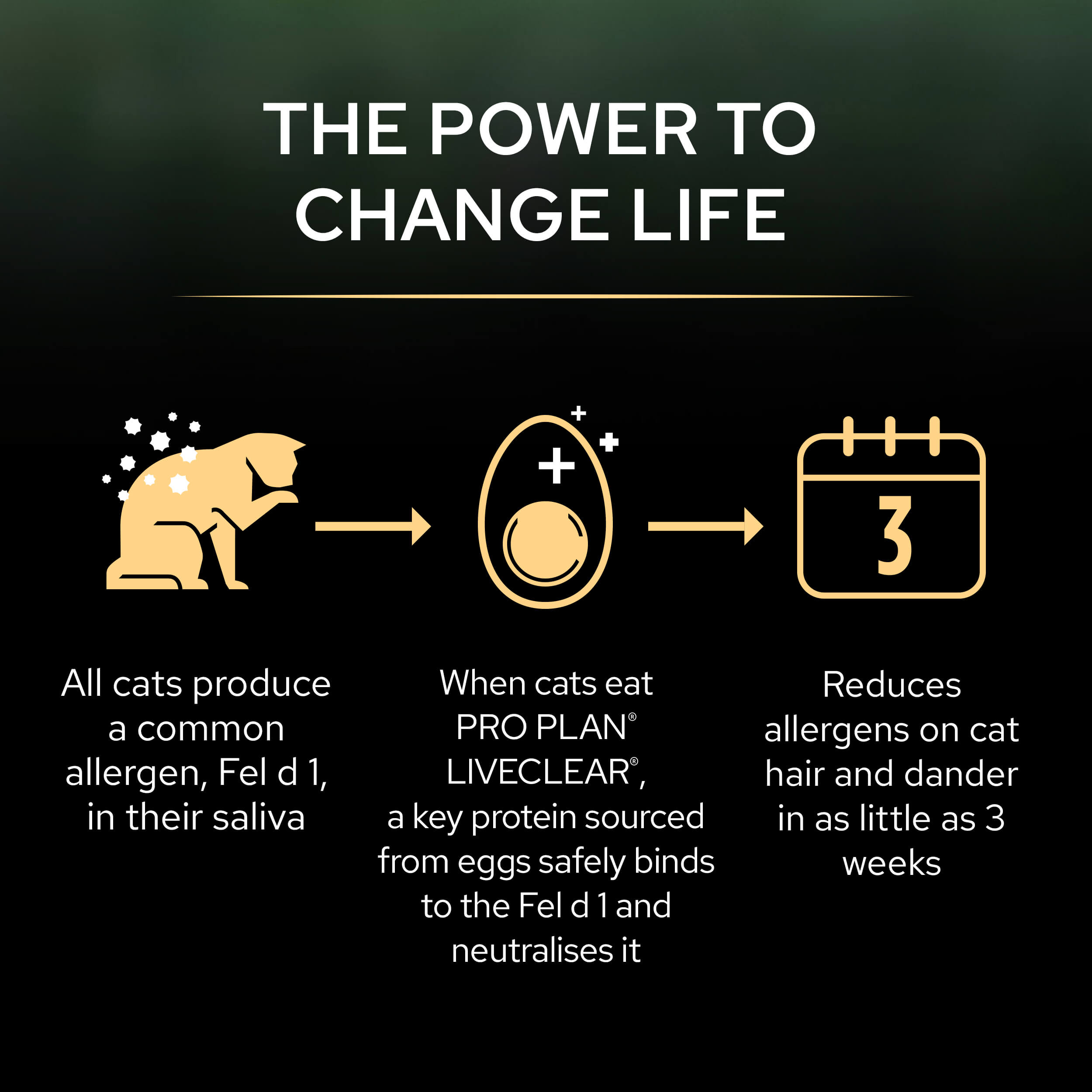 3 steps to life-changing science