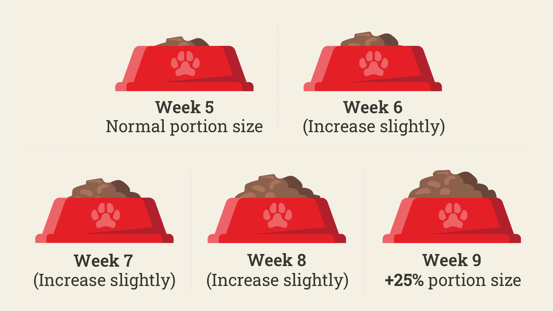 how much should my nursing dog eat