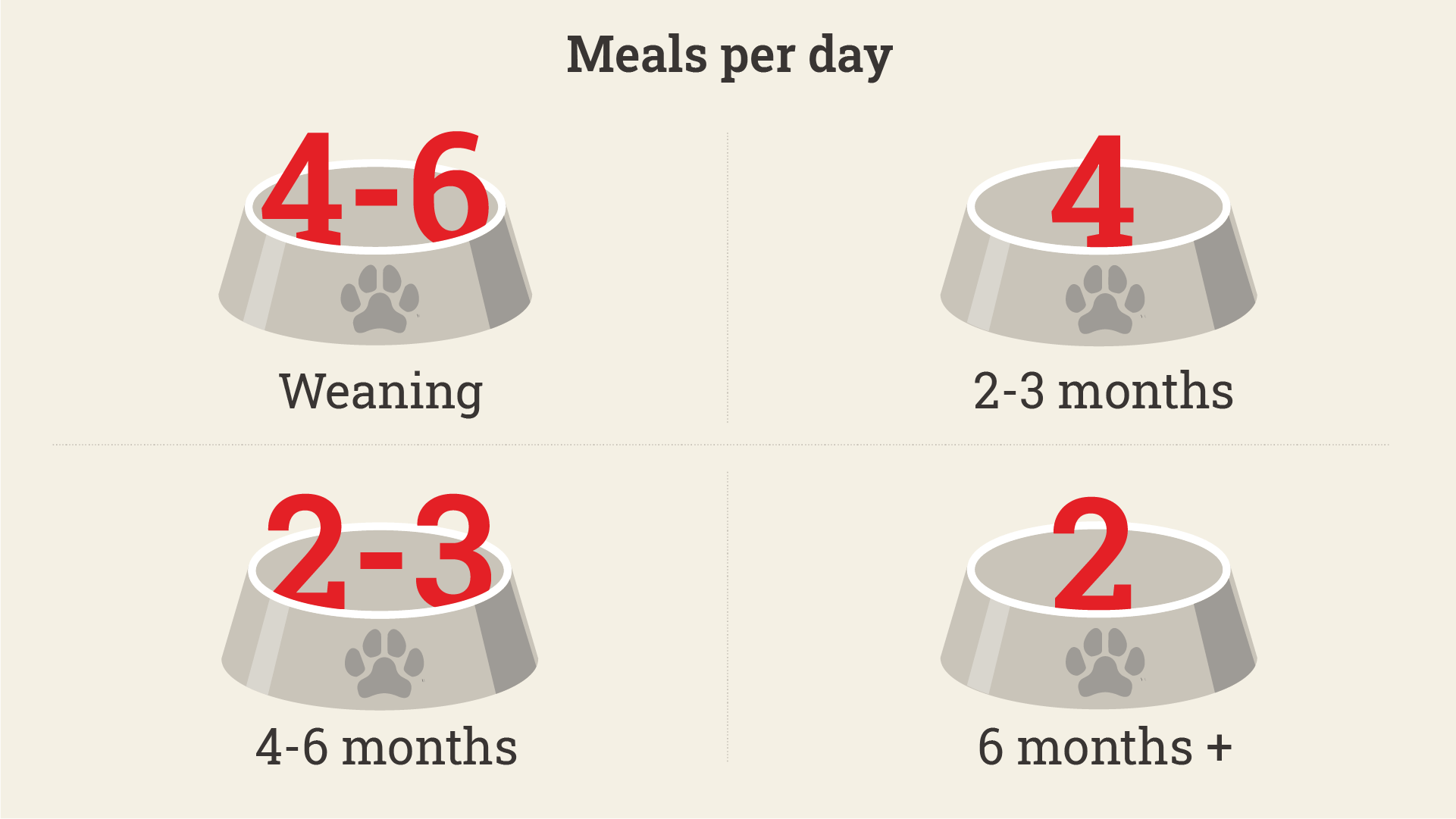 what can 1 month old puppies eat