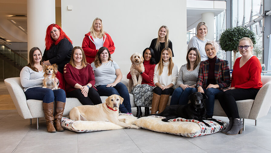 Meet the CES Team
