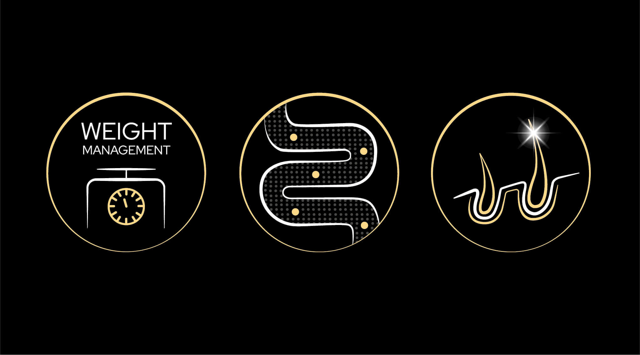 PPD icons