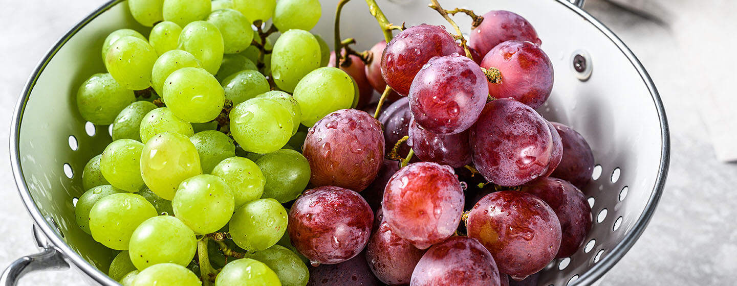 are purple grapes bad for dogs