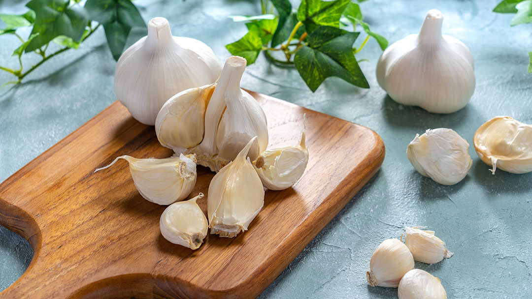 what can i give my dog if he ate garlic