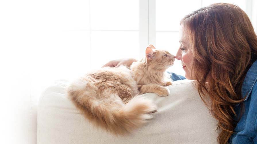 Cat touching nose to nose with woman