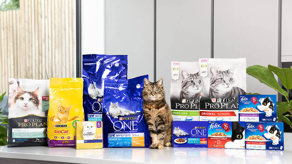 Cat sitting between senior cat products.