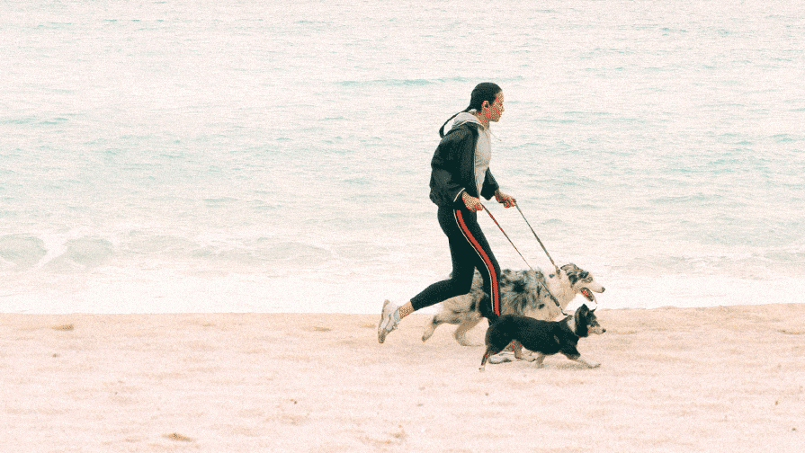Woman running on a beach with two dogs