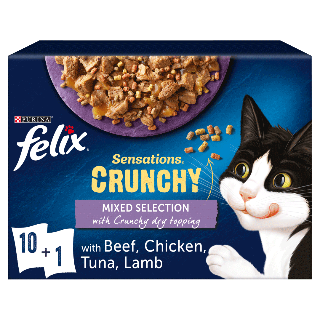 crunchy cat