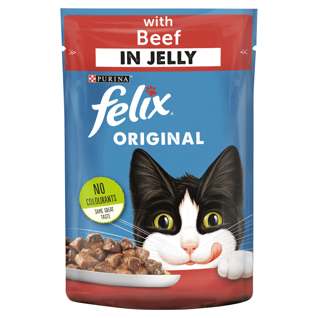Maxi Cat Food Discount Buy Save 58 Jlcatj gob mx