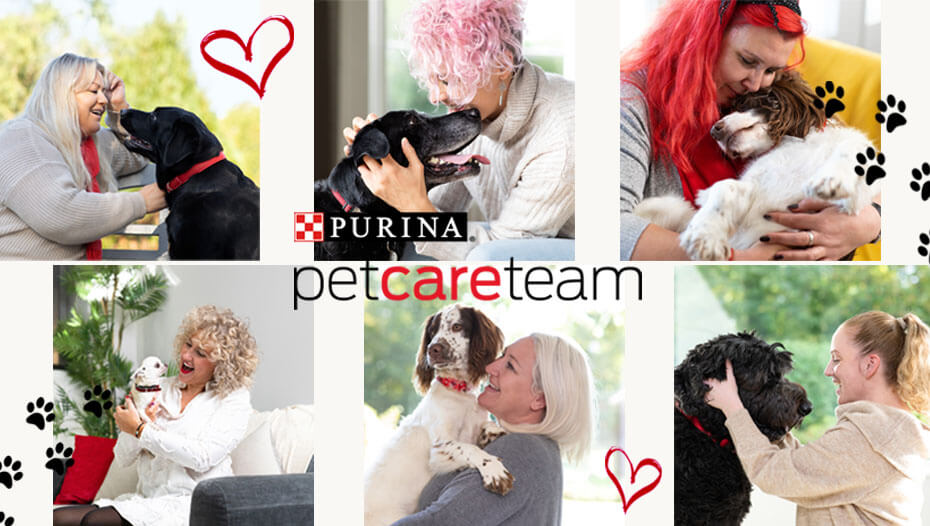 Meet the PetCare Team