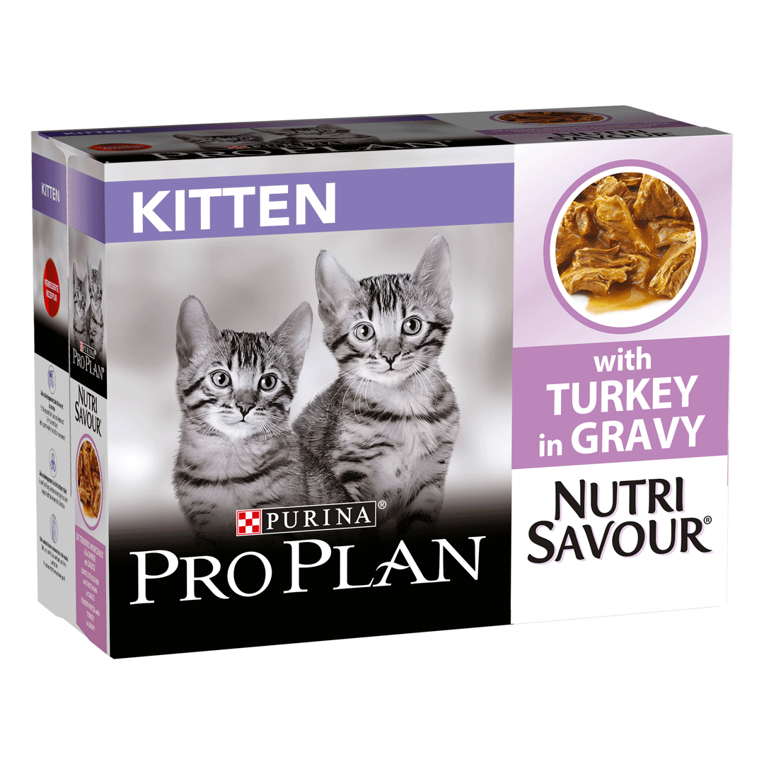 Purina Kitten Wet Food Uk