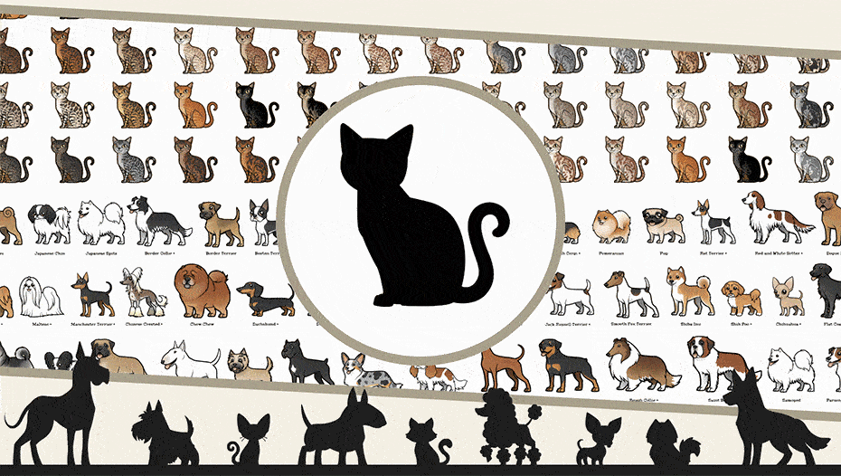 Purina pet avatar