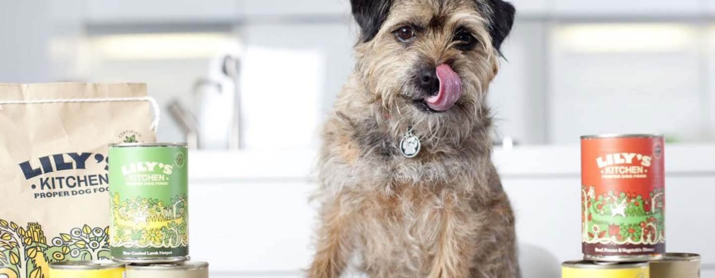Nestlé Purina PetCare acquires natural pet food brand Lily’s Kitchen