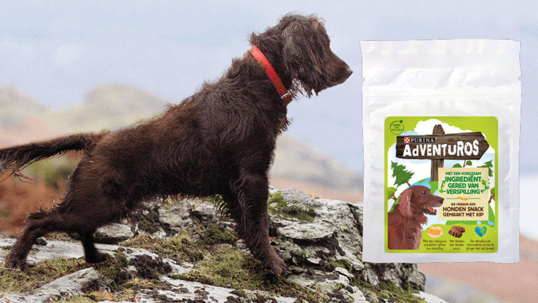 Purina targets food waste by using surplus brewery grains in dog treat pilot