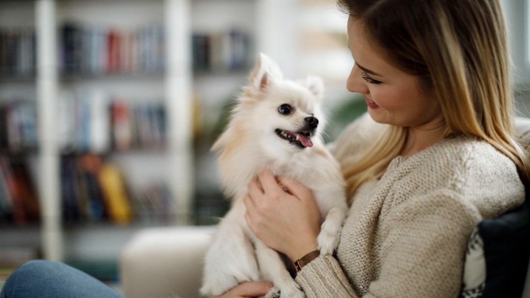 Woman with a white dog at home