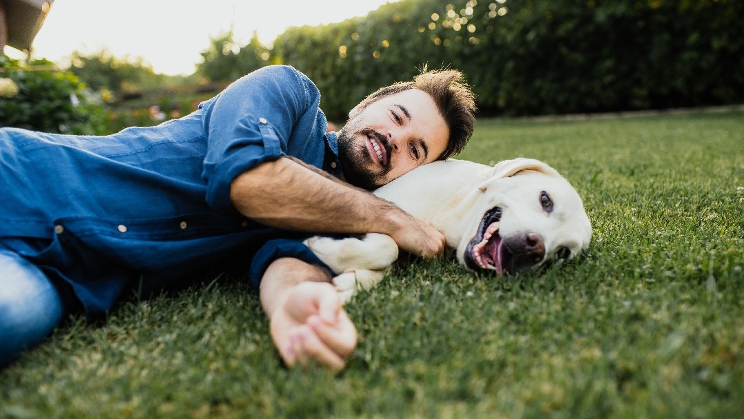 Guy and his Labrador retriever having a cuddle outdoors