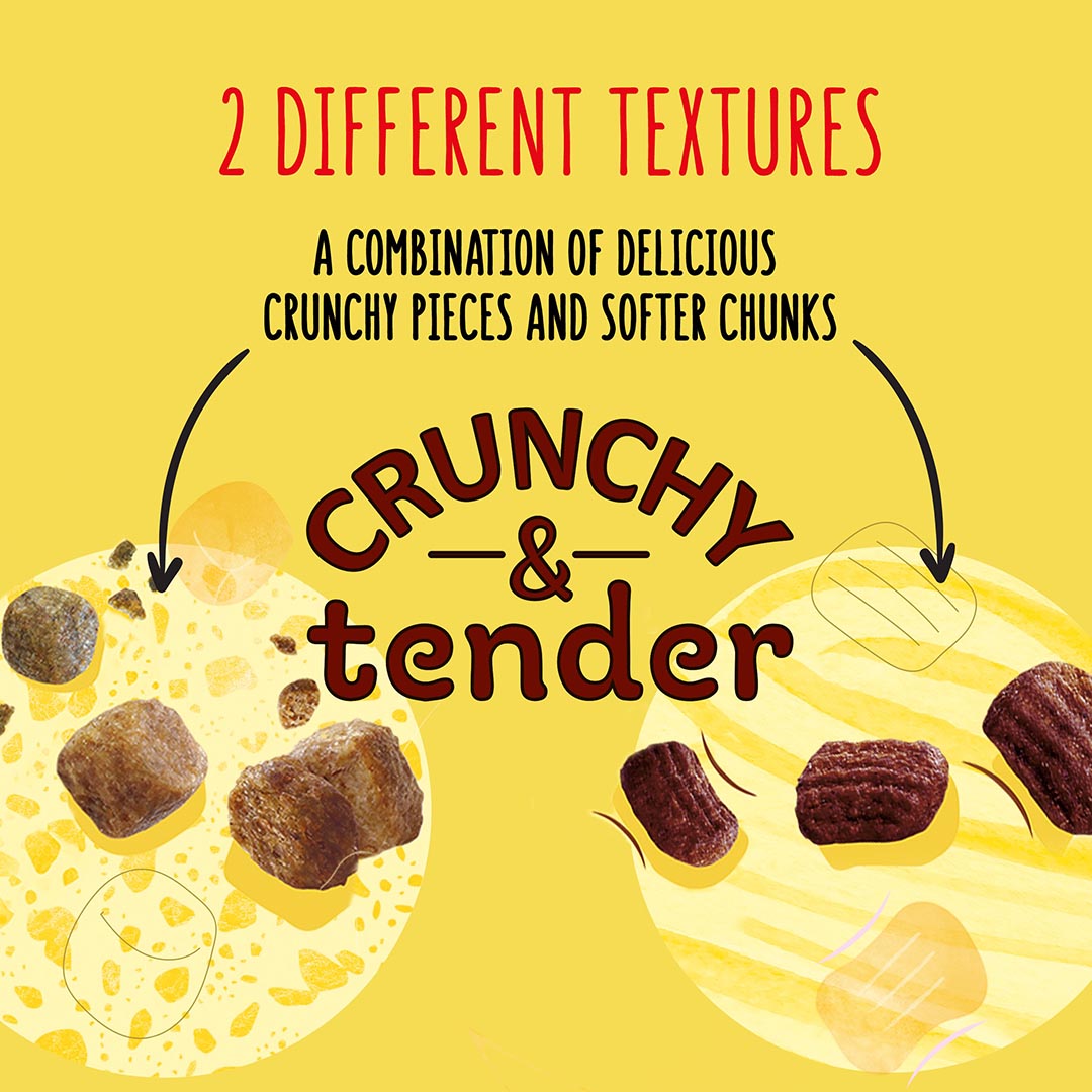 Purina go cat crunchy top and tender