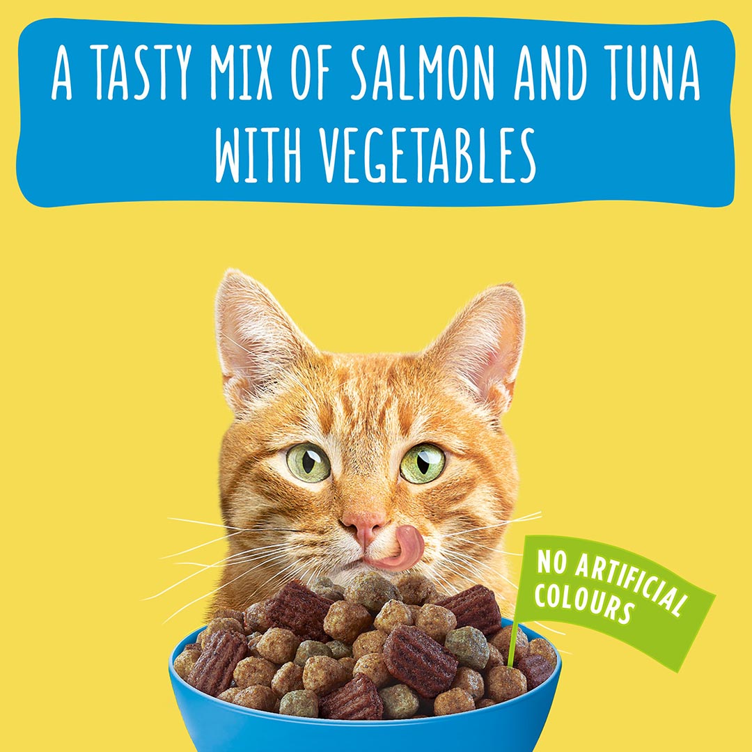 Purina go cat crunchy and discount tender