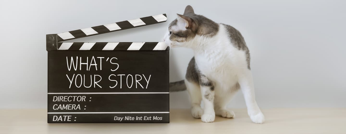 14 Famous Cartoon Cats from Comics, TV & Film | Purina
