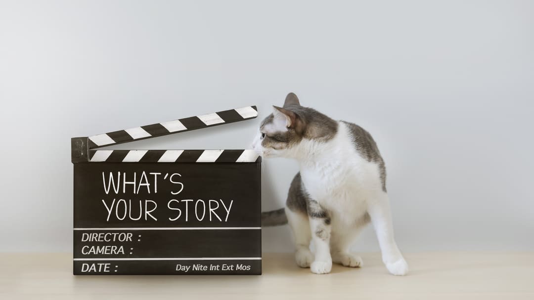 14 Famous Cartoon Cats from Comics, TV & Film | Purina 14 Famous Cartoon Cats from Comics, TV & Film | Purina