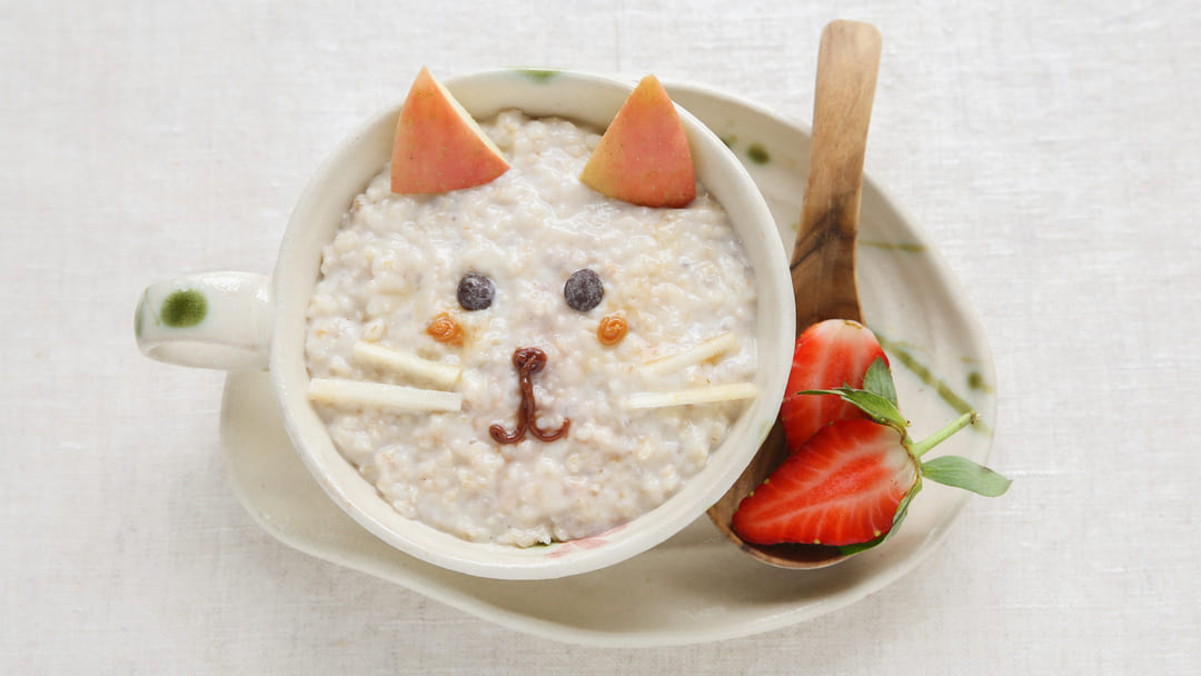 Can Cats Eat Oatmeal?