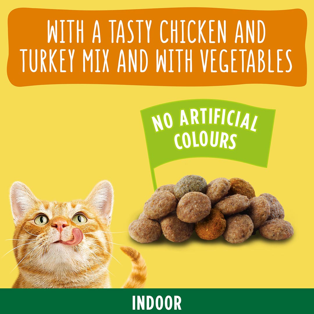 Highest rated dry cat food clearance