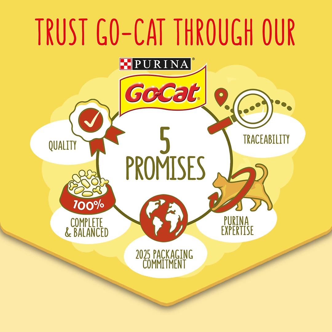 GO CAT Senior Chicken Dry Cat Food Purina