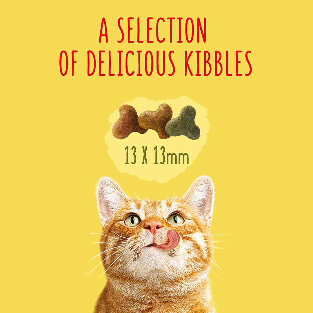 Go cat senior 10kg sale