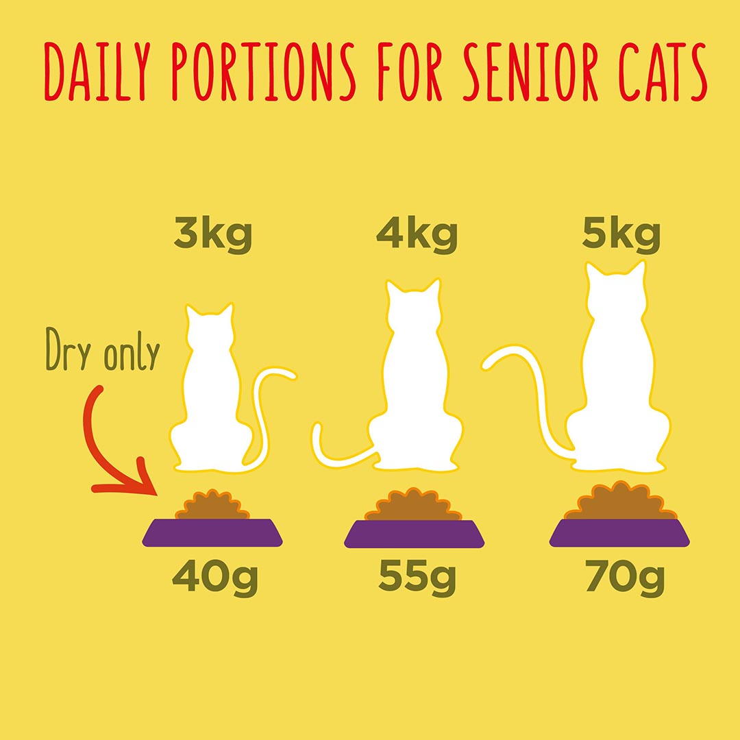 Go cat senior 10kg shop