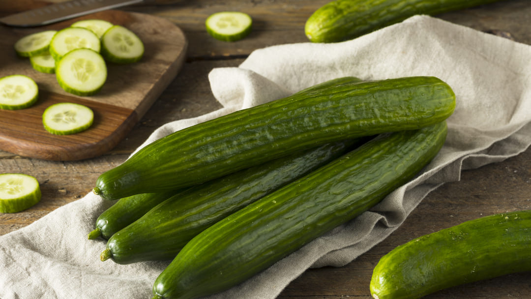 Can Dogs Eat Cucumber Get All the Information You Need Purina