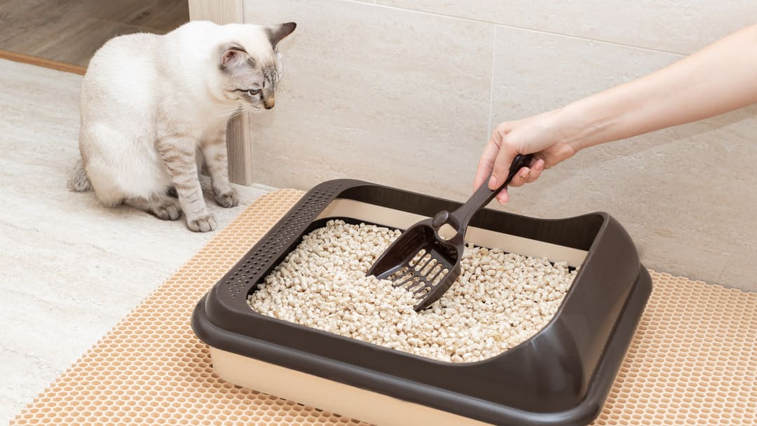 Rubber Litter Box Mat, 1/2 Circle