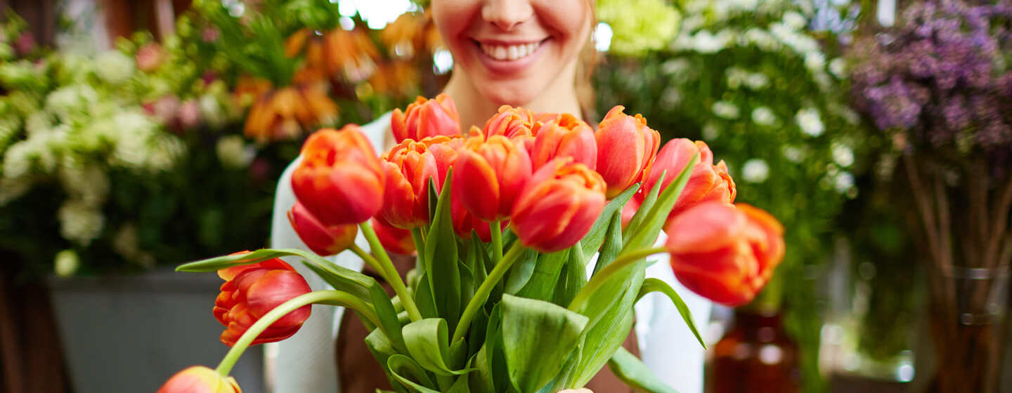 Are tulips poisonous for cats?