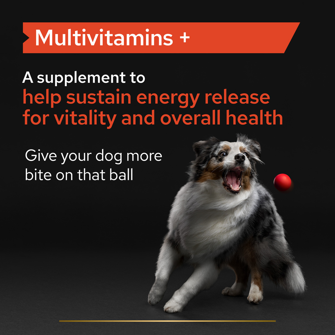 what supplements should i give my puppy