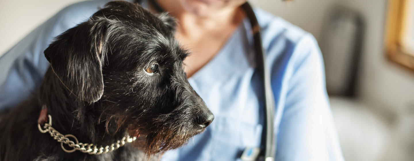 Why Some People Almost Always Make Money With https://camadian-pharmacya.com/blog