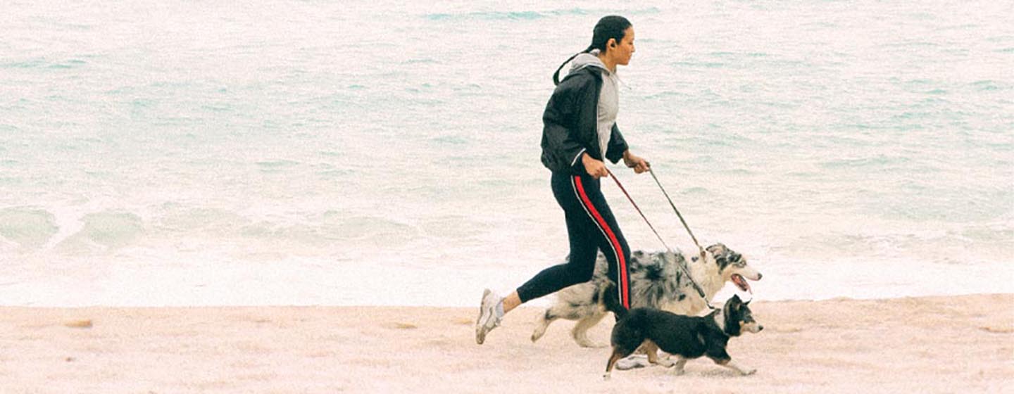 Woman running on the beach with two dogs