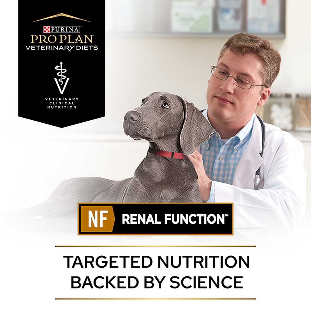 Pro Plan Veterinary Diets Nf Renal Function Wet Dog Food Pro Plan Veterinary Diets Nf Renal Function Wet Dog Food