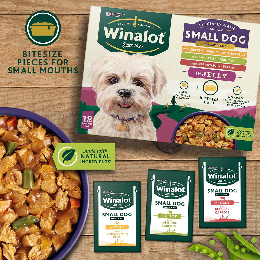 Small dog best sale pouch
