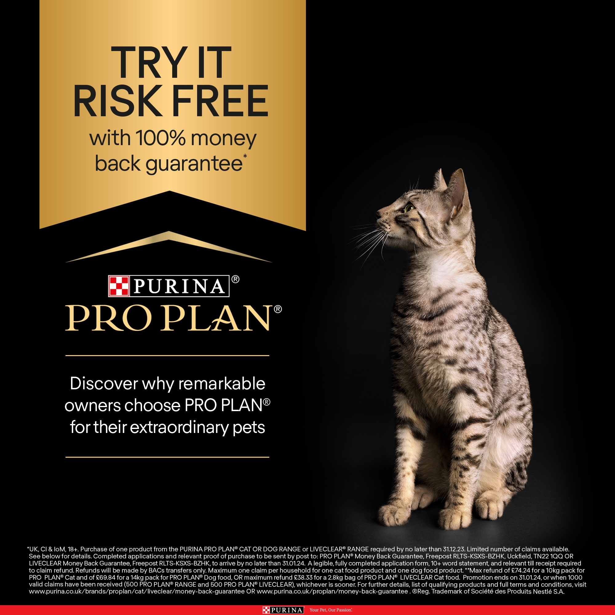 purina pro plan delicate cat food